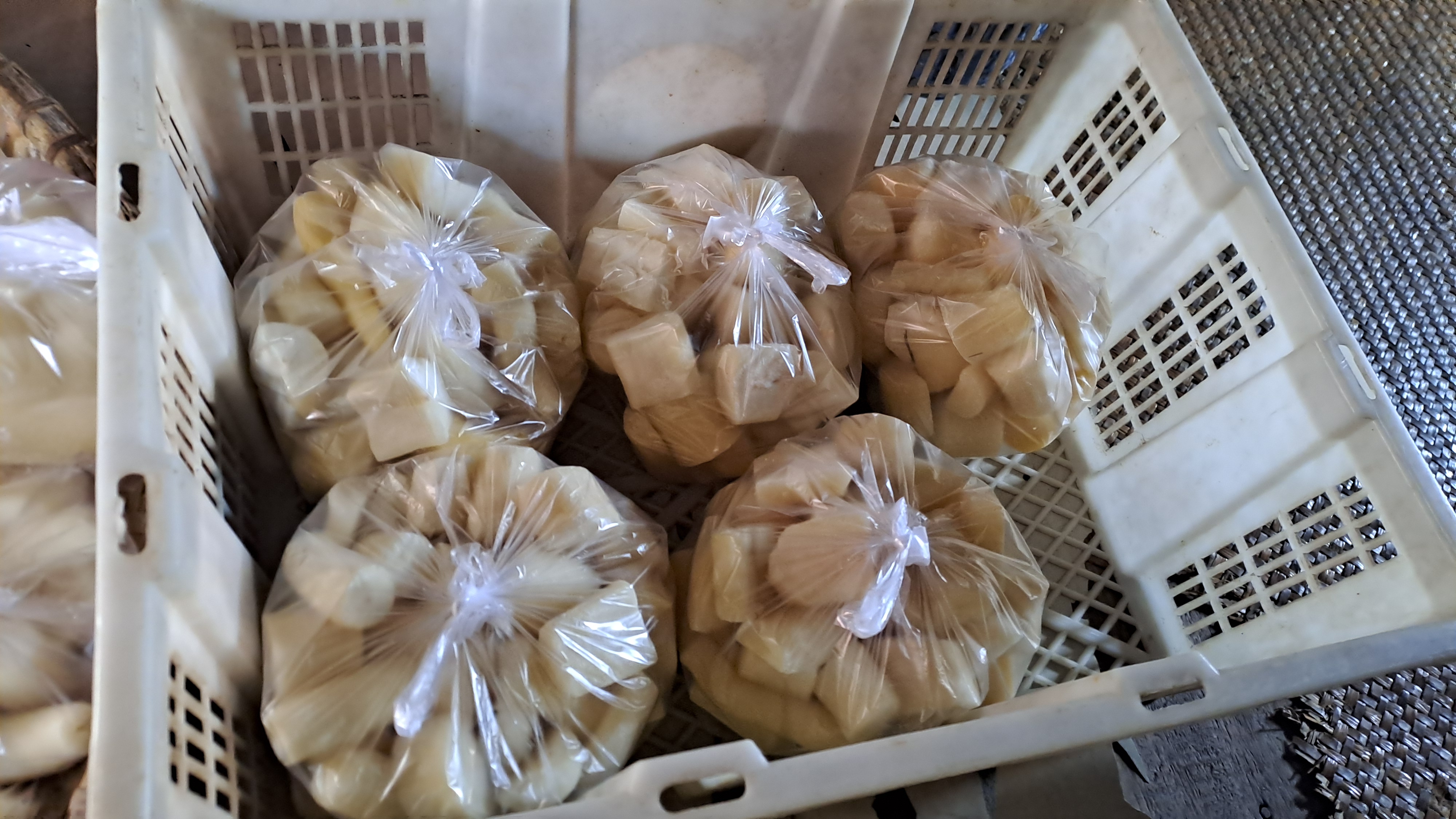 Tapai singkong